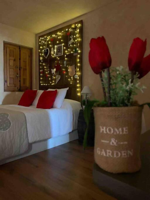 Luxury Danna Plaza Mayor Cuenca  Eksteriør billede